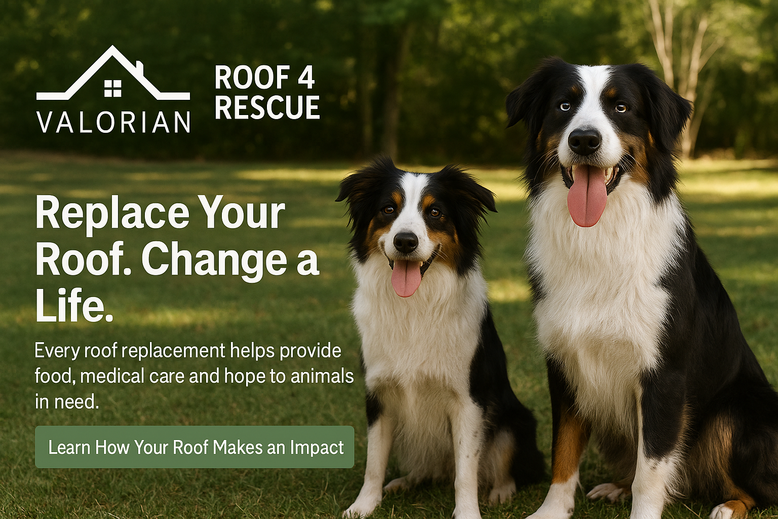 3758635D-87FB-404F-AED5-35FC5B3456E3